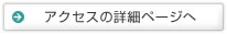 �A�N�Z�X�ڍׂ�